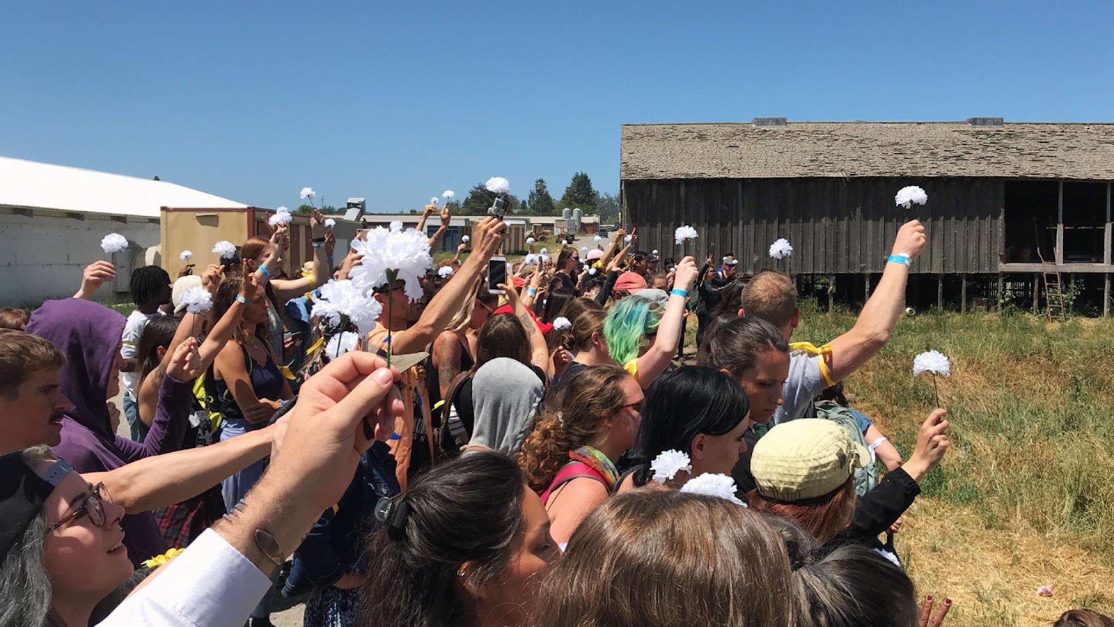 DXE Activists Holding Flowers Inside Egg farm