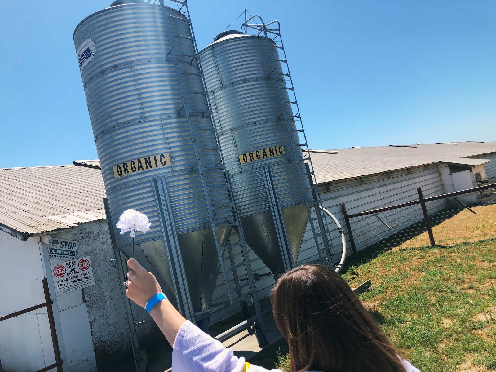 Silo's With The Word 'Organic' On The Side