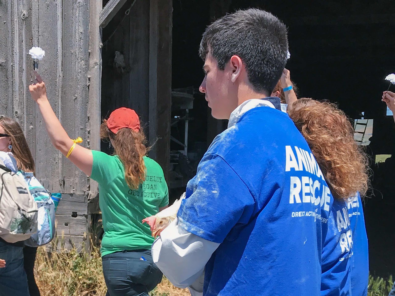 DXE Activist Carrying Rescued Chicken