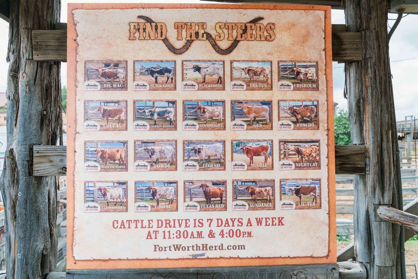 Find The Steers Sign