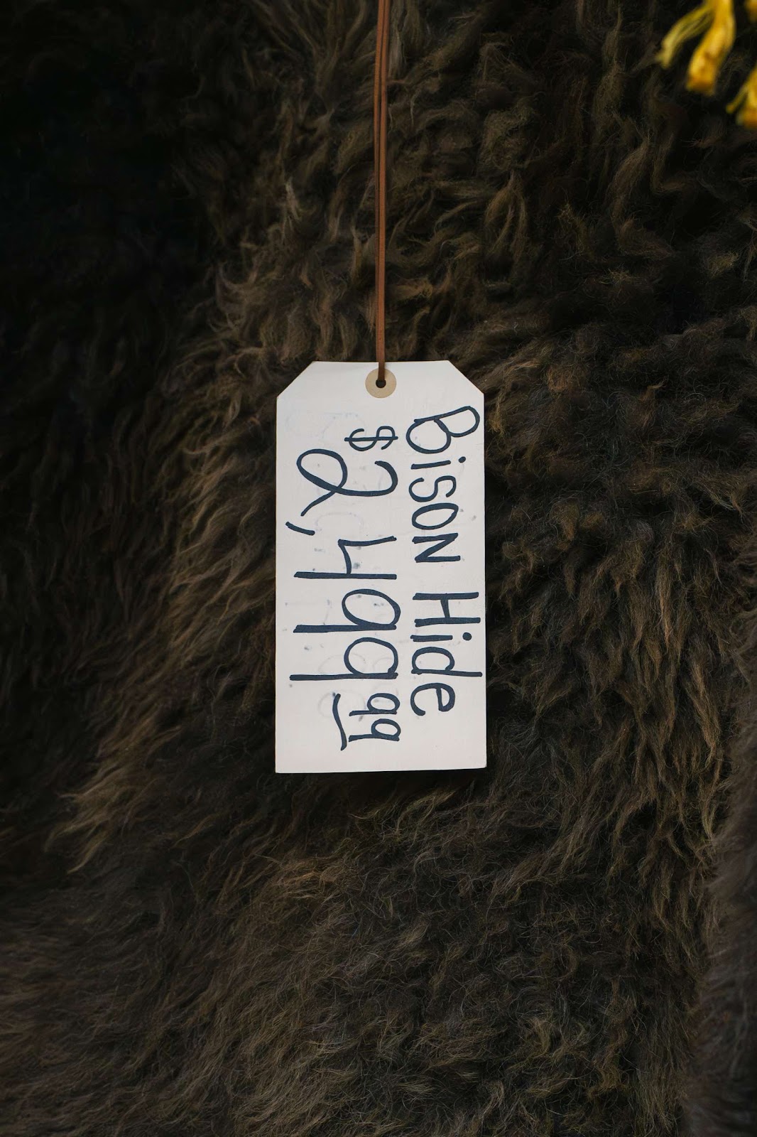 Bison Hide