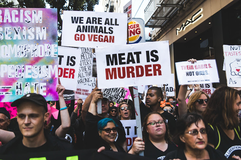 Meat Is Murder - ALC Animal Rights March - San Francisco, USA