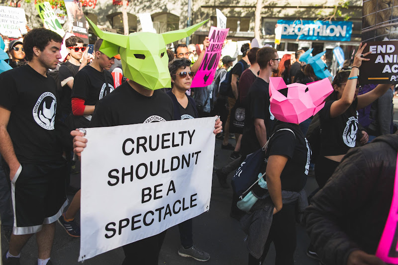 ALC Animal Rights March - San Francisco, USA
