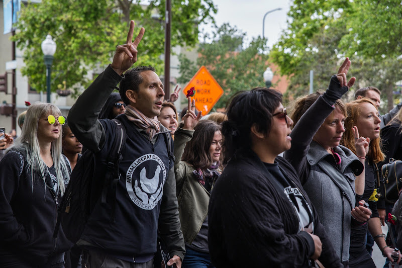 Funeral for farm animals at the Animal Liberation Conference 2018