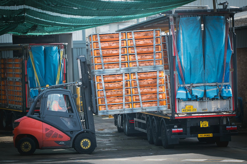 Chickens being offloaded from truck ready for gassing - Avara Chicken Slaughterhouse Brackley, UK