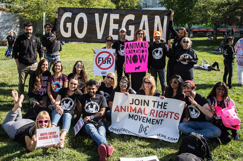 Go Vegan - Join The Animal Rights Movement - ALC Animal Rights March - San Francisco, USA