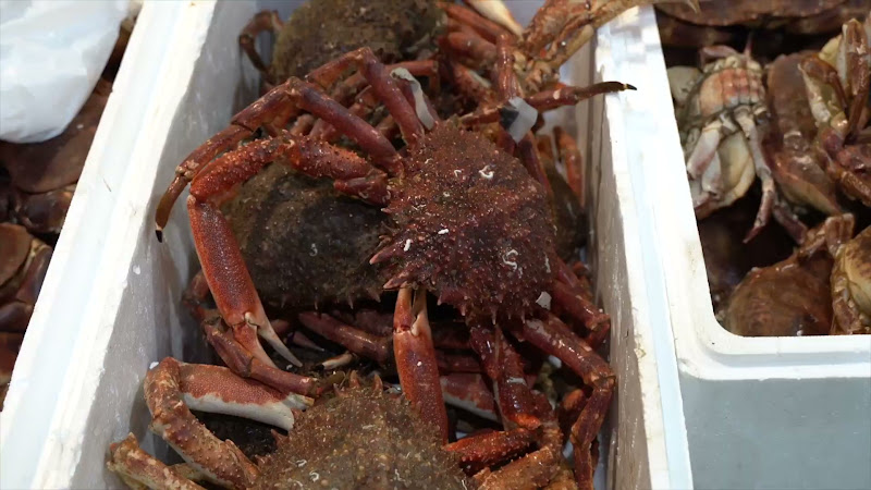 Crab at Billingsgate Fish Market, London