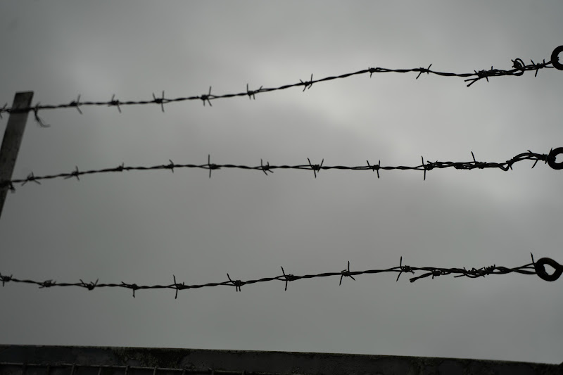 Barbed wire at St Merryn's Meat Slaughterhouse, Bodmin, Cornwall