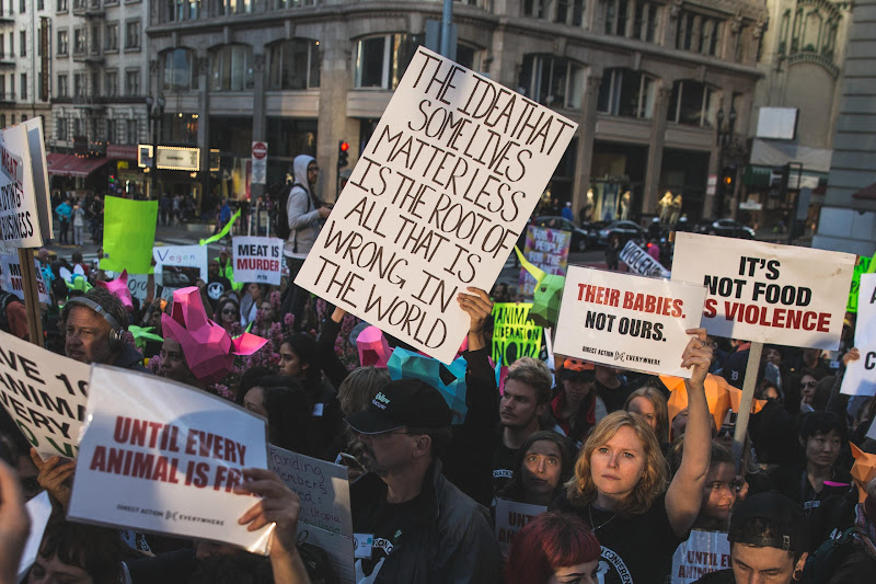 ALC Animal Rights March - San Francisco, USA