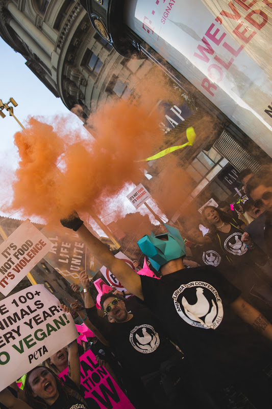 Smoke Bomb - ALC Animal Rights March - San Francisco, USA
