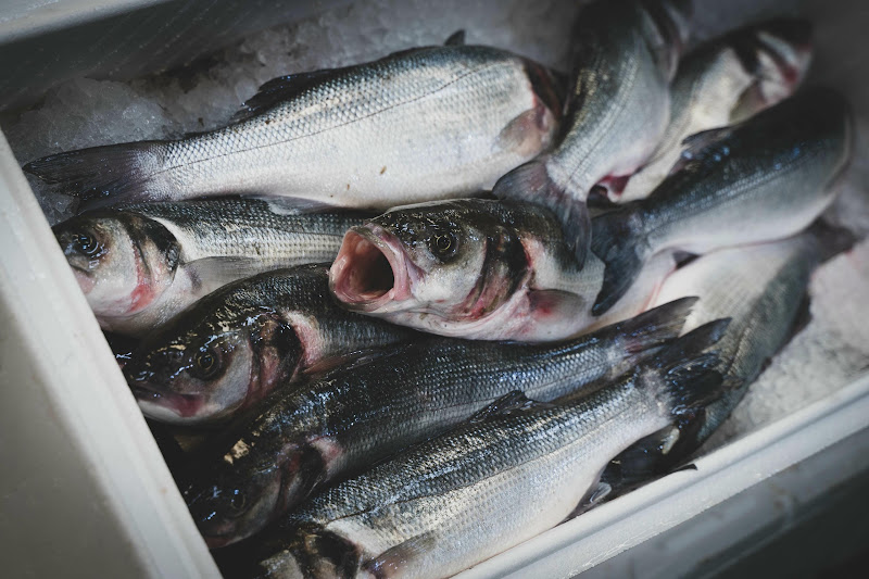 Fish at Billingsgate Fish Market, London