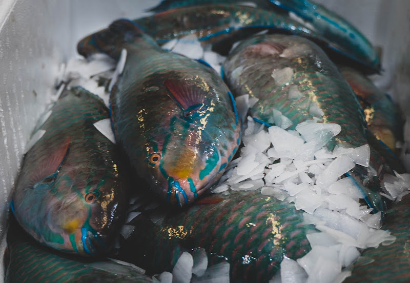 Fish at Billingsgate Fish Market, London