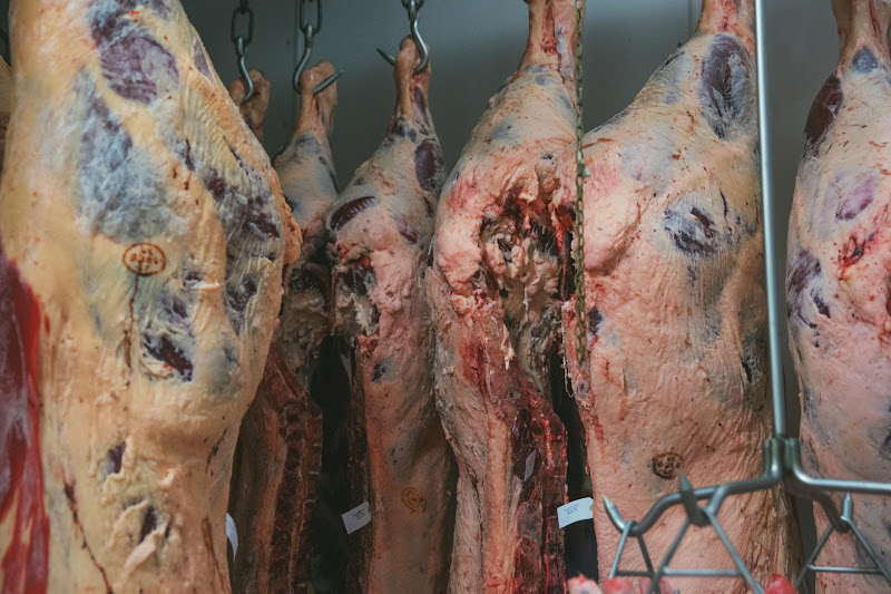 Carcass Freezer - Tideford Slaughterhouse, Cornwall