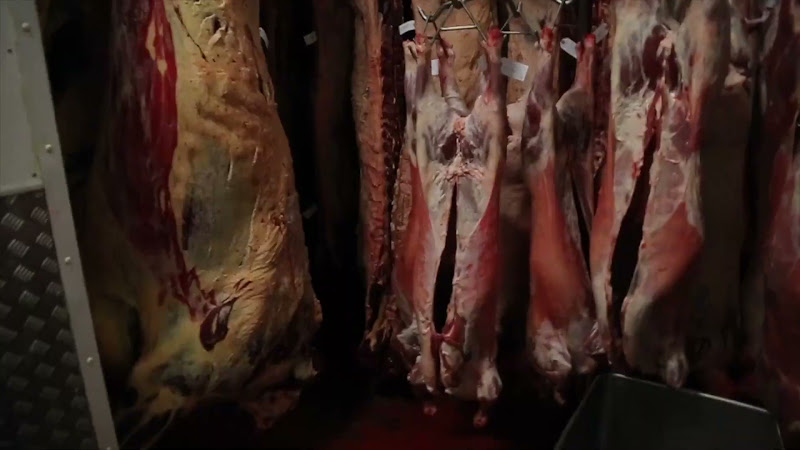 Carcass freezer at Tideford Slaughterhouse, Cornwall, UK