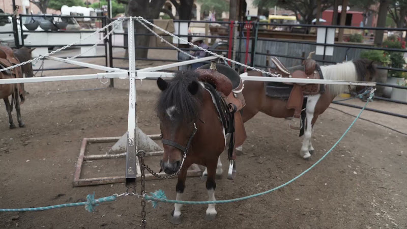 26-06 | Pony Merry-Go-Round - Fort Worth, Texas