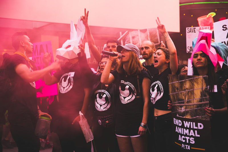 Smoke Bomb - ALC Animal Rights March - San Francisco, USA