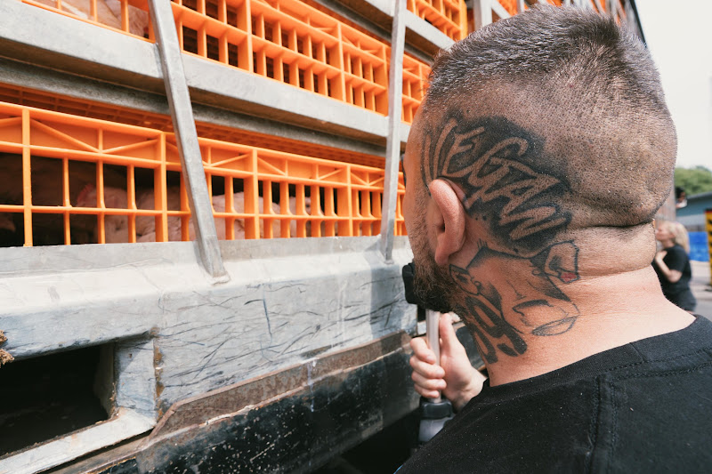 Activists (Mel & Steve) at Avara Chicken Slaughterhouse Brackley, UK