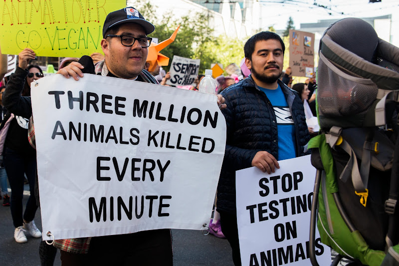 ALC Animal Rights March - San Francisco, USA