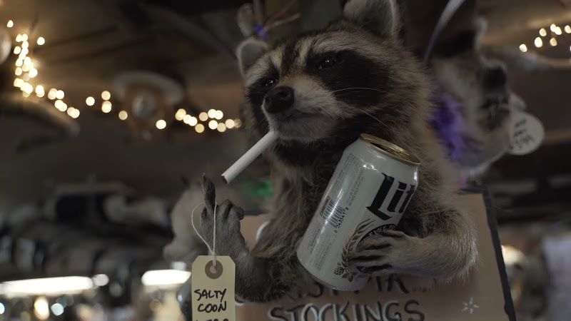 26-06 | KO Trading (Taxidermy, Furs & Skins) - Fort Worth, Texas