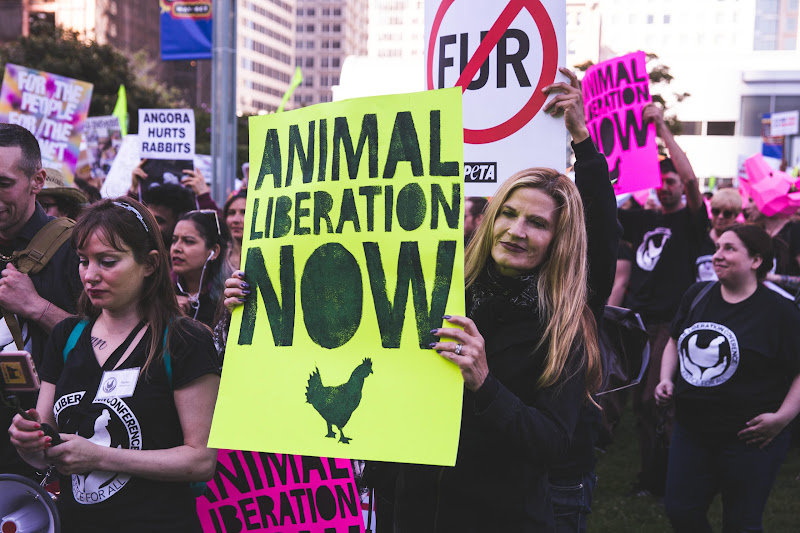 Animal Liberation Now - Holding Signs - ALC Animal Rights March - San Francisco, USA