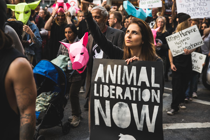 Animal Liberation Now - ALC Animal Rights March - San Francisco, USA