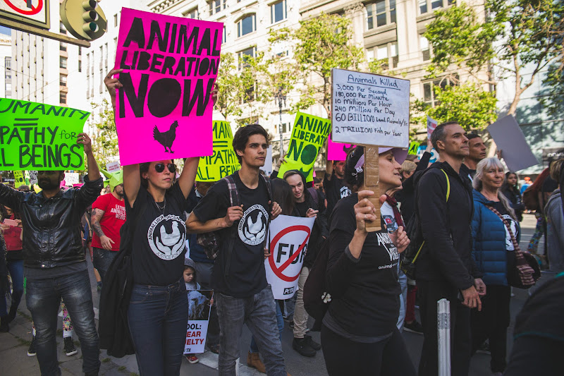 ALC Animal Rights March - San Francisco, USA