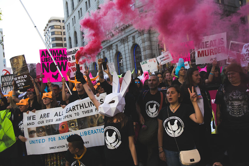Smoke Bomb - ALC Animal Rights March - San Francisco, USA