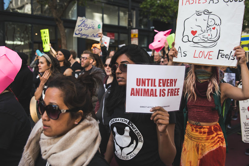 ALC Animal Rights March - San Francisco, USA