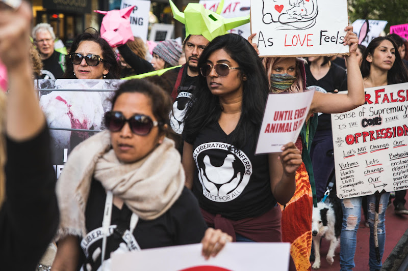 ALC Animal Rights March - San Francisco, USA