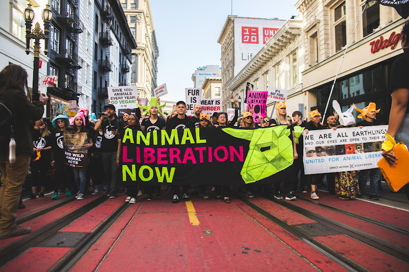 ALC Animal Rights March - San Francisco, USA