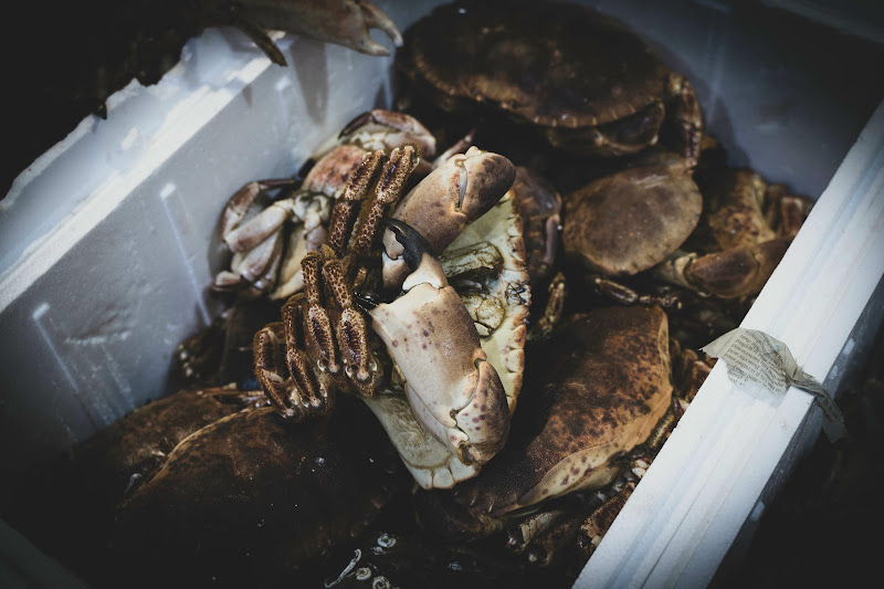 Crab at Billingsgate Fish Market, London
