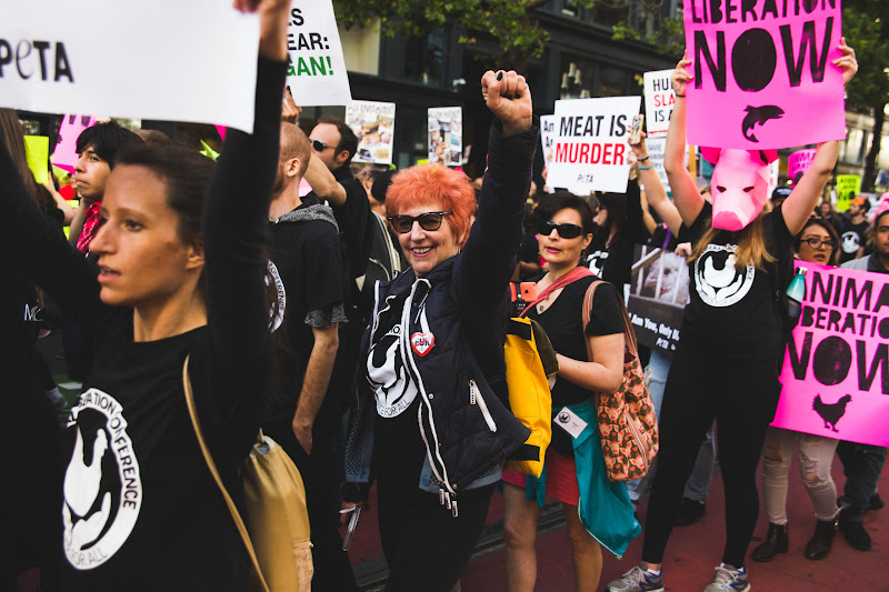 ALC Animal Rights March - San Francisco, USA