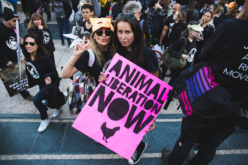 ALC Animal Rights March - San Francisco, USA