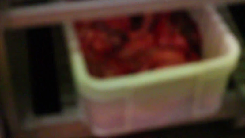 Entrails - Tideford Slaughterhouse, Cornwall