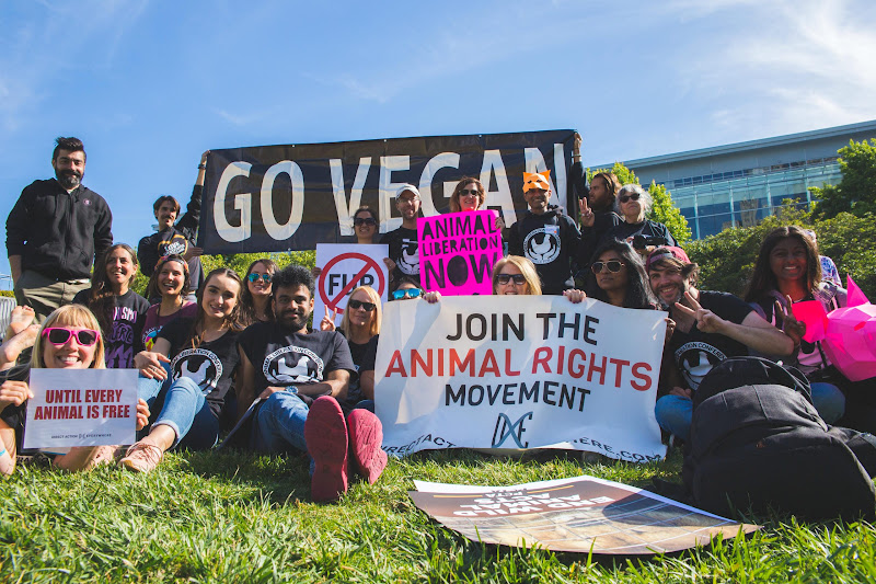 Go Vegan - Join The Animal Rights Movement - ALC Animal Rights March - San Francisco, USA